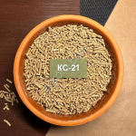 КС-21 Старт-Рост