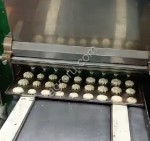 Отсадочная машина для печенья Multidrop MD 390