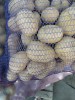 Картофель
