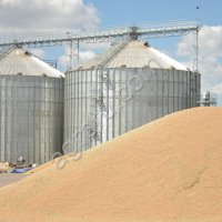 Элеватор, услуги по хранению зерновых культур.