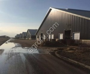 Органические гранулы на основе навоза КРС