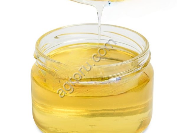 Подсолнечниковый (кондитерский) мёд