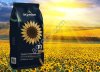 Гибриды семена подсолнечника Марица (Экспресс) Заразиха F-G