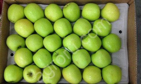 Яблоки Оптом