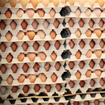 Яйца куриные  c0 c1 c2  от производителя.