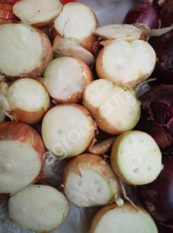 Лука на перо Каратал.