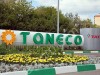 оптом ДТ ТАНЕКО зимнее класс 2, К5 ЕВРО.