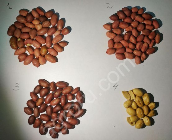 Арахис в-с Бланшированный Жаренный Сырой