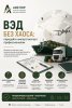 ВЭД без хаоса: передайте импорт/экспорт профессионалам