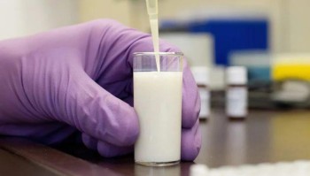 Разработан способ, позволяющий определить происхождение коровьего молока