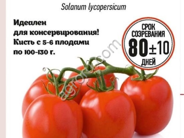 Семена томата Красная Площадь 0,1г