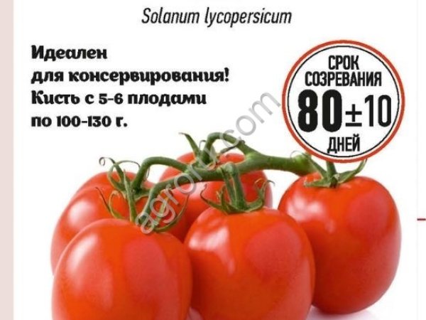 Семена томата Красная Площадь 0,1г