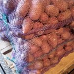 Картофель оптом свежий