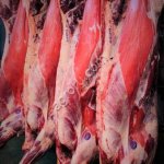 Мясо говядина Коровы 1-2-3