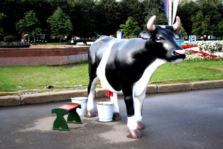 Амурская область: Животноводство