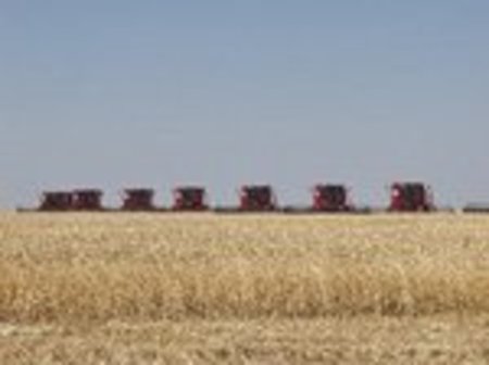 Ульяновская область увеличивает площадь посевов