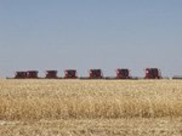 Ульяновская область увеличивает площадь посевов