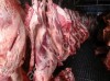 Мясо говядина порода СИММЕНТАЛЬСКАЯ