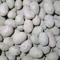 Картофель семенной