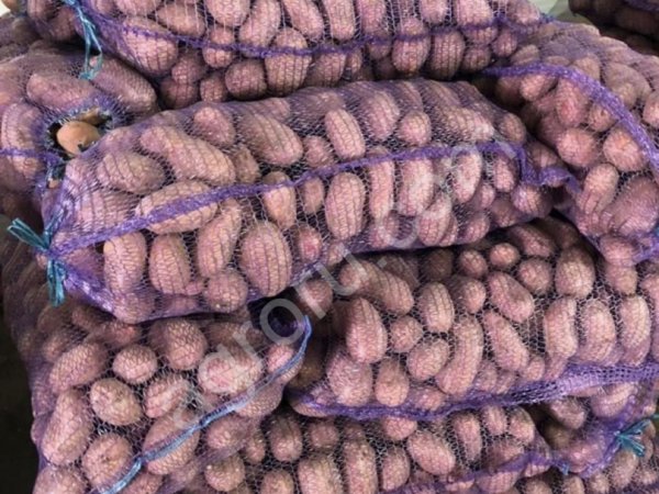 Картофель оптом