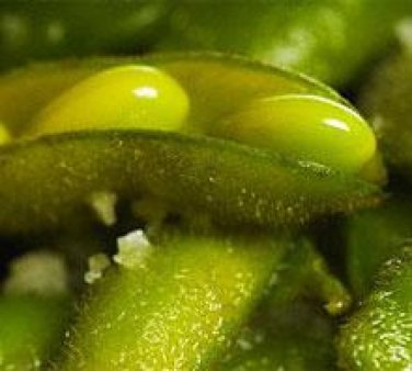 В Приморье закупочная цена на сою стремительно растет