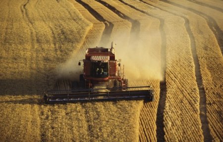 Введения запрета не будет