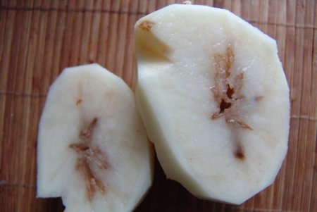 Опасный вредитель картофеля - Ризоктониоз