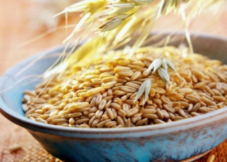 В Ульяновской области реализуются мероприятия по стабилизации цены на хлеб