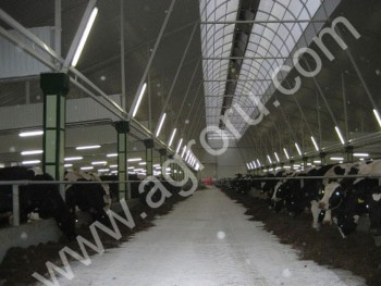 Стойловое оборудование для ферм КРС и других животноводческих комплексов