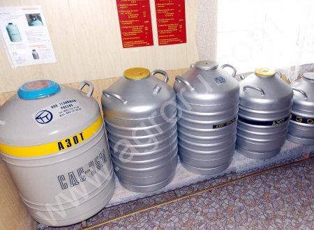 Жидкий азот для хранения спермы животных