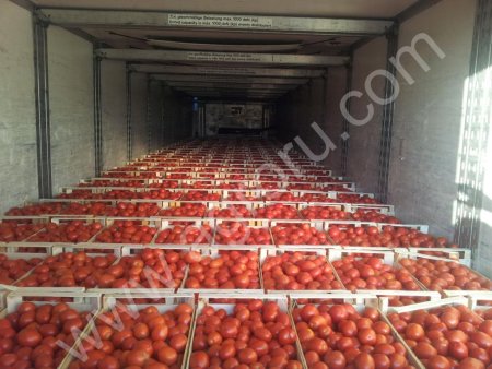 Помидоры розовые и красные опт