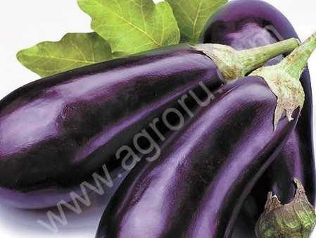 Семена баклажанов