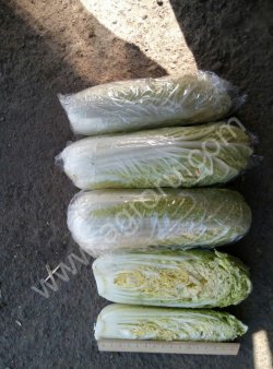 Пекинская капуста 2 сорт