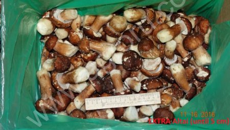 Грибы быстрозамороженные