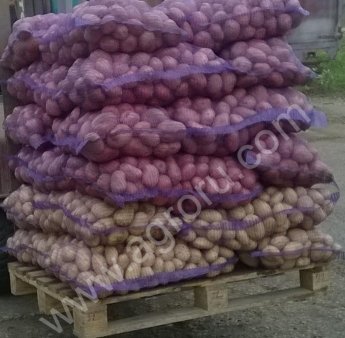 Картофель продовольственный
