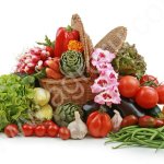 Земля садовая, Почвогрунт, Торф, Навоз, Гумус, Грунт для сада в мешках,Чернозем.