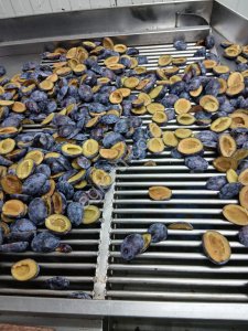 Замороженная слива Стенлей половинкы