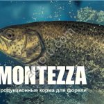 ПРОДУКЦИОННЫЕ КОРМА ДЛЯ РЫБ MONTEZZA, КОРМ ДЛЯ ФОРЕЛИ