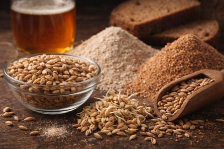 Солод: виды, свойства и применение в пищевой промышленности