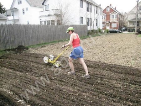 Овощные сеялки