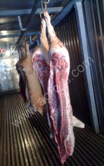 Свинина полутуши