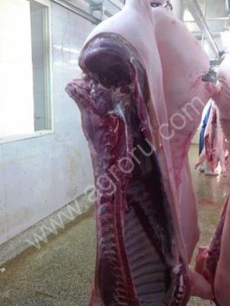 Pork half carcasses / Свинина полутуши