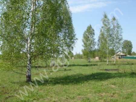 Земельный участок  на  с лесом