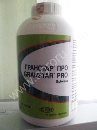 Гранстар про