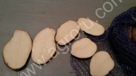 Картофель и овощи