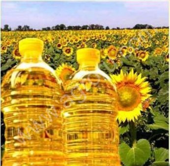 масло подсолнечное оптом