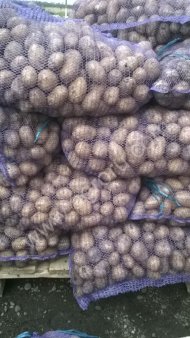 Картофель от производителя