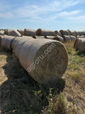 Сено в рулонах и тюках