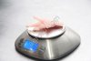 Куриные лапы лапки Chicken paws grade a 30+
