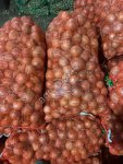 Лук репчатый(крупный) калибр 7-10см